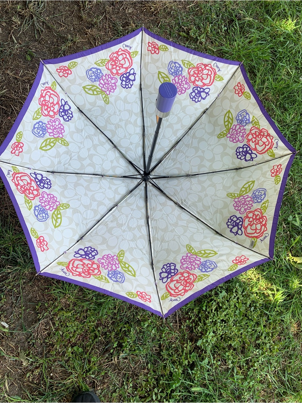 RARE Coach Poppy Daisy Floral Pattern  Umbrella discontinued “HARD TO FIND”
